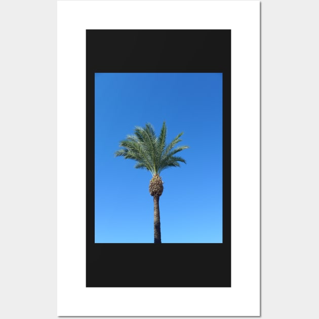 Single Palm Tree with Blue Sky2 Wall Art by Sandraartist